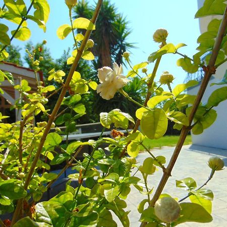Villa Giovanni ฟาลิรากี ภายนอก รูปภาพ