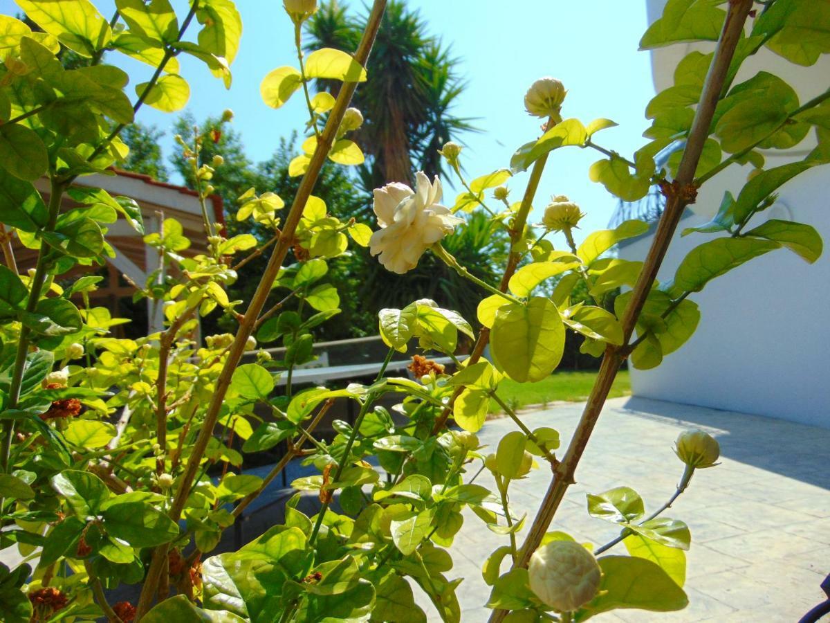 Villa Giovanni ฟาลิรากี ภายนอก รูปภาพ